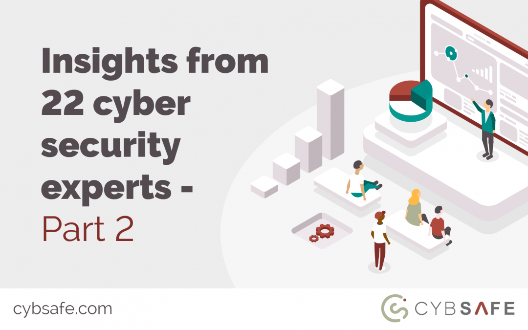 Insights from 22 cyber security experts – part 2