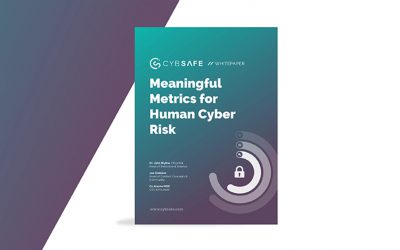 Meaningful Metrics for Human Cyber Risk