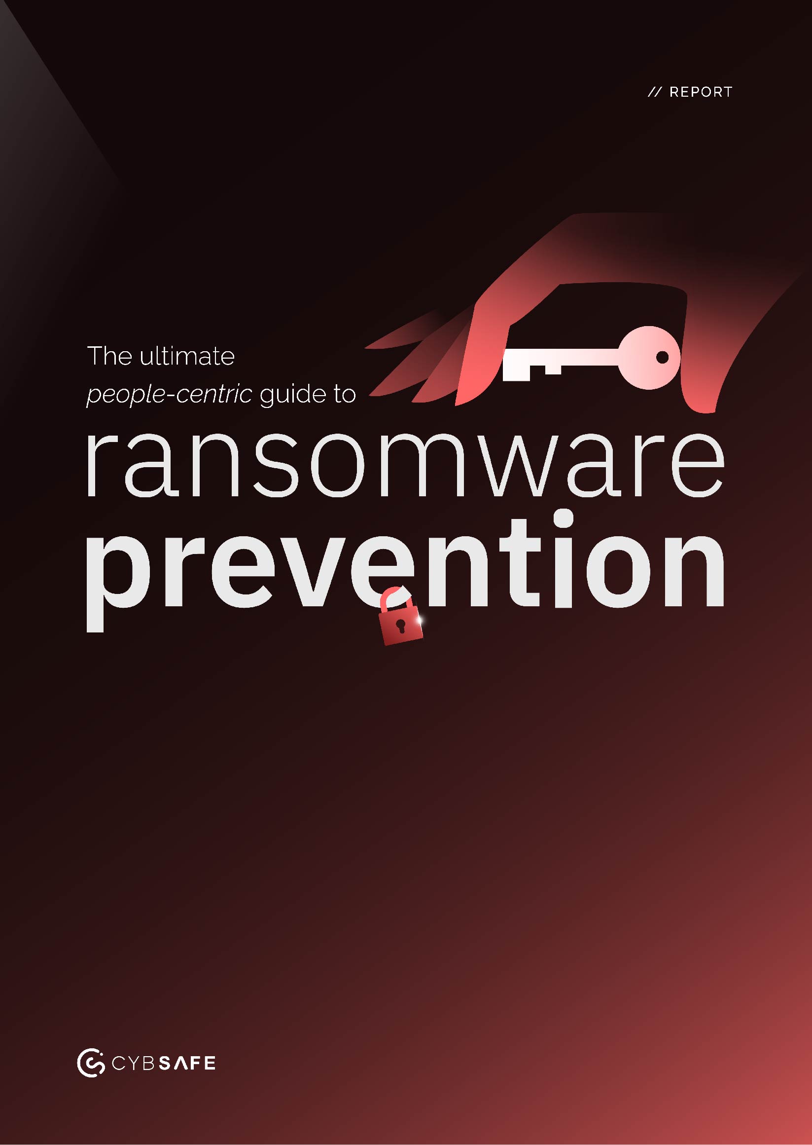 Ransomeware toolkit report