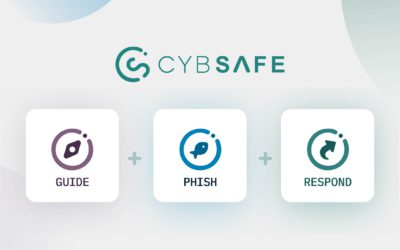 The official guide to CybSafe products and pricing